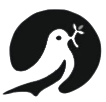 Black pigeon